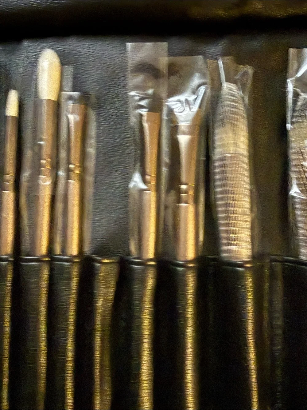 EIGSHOW Professional Makeup Brush Set with Roll-Up Case New Unused